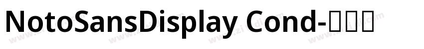 NotoSansDisplay Cond字体转换 NotoSansDisplay Cond字体转换